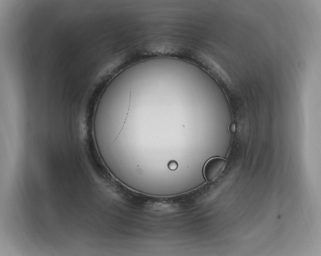 X0000110910635200906251358