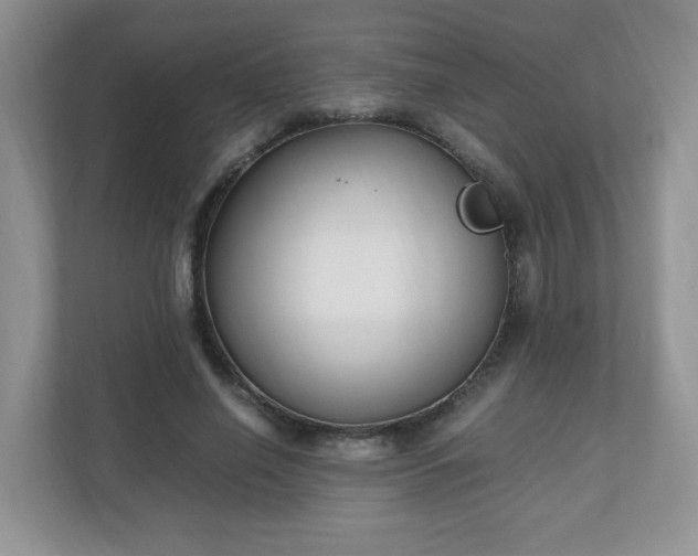 X0000110910638200906251358