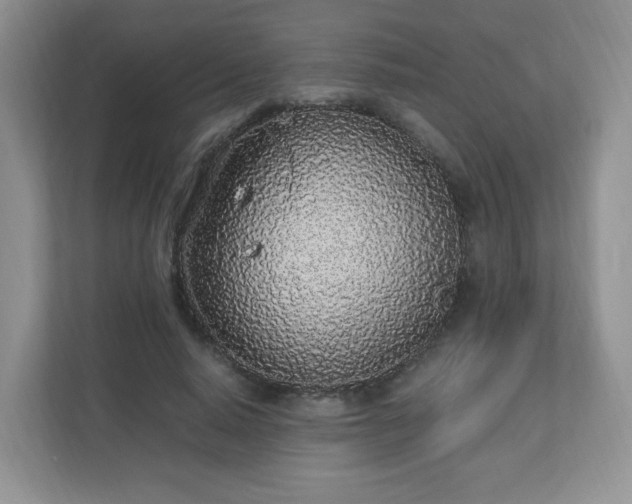 X0000110910640200906251358