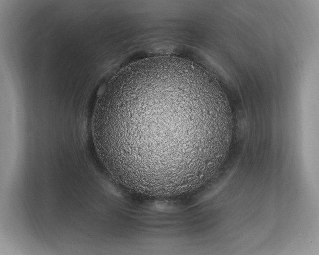 X0000110910641200906251358