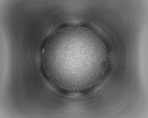 X0000110910642200906251358