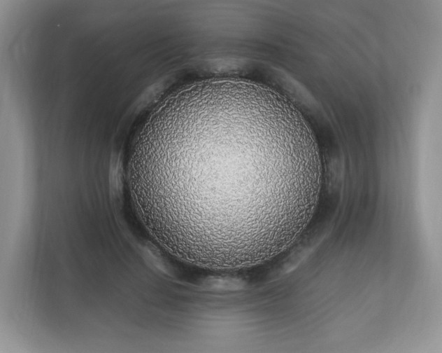 X0000110910644200906251358