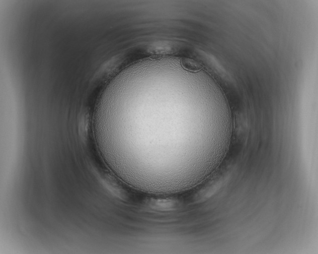 X0000110910645200906251358