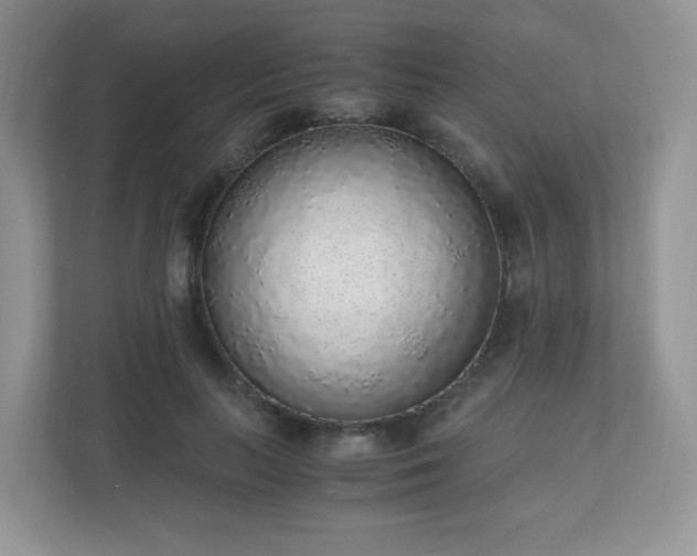 X0000110910647200906251358