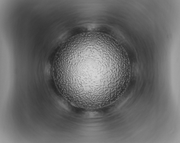 X0000110910650200906251358