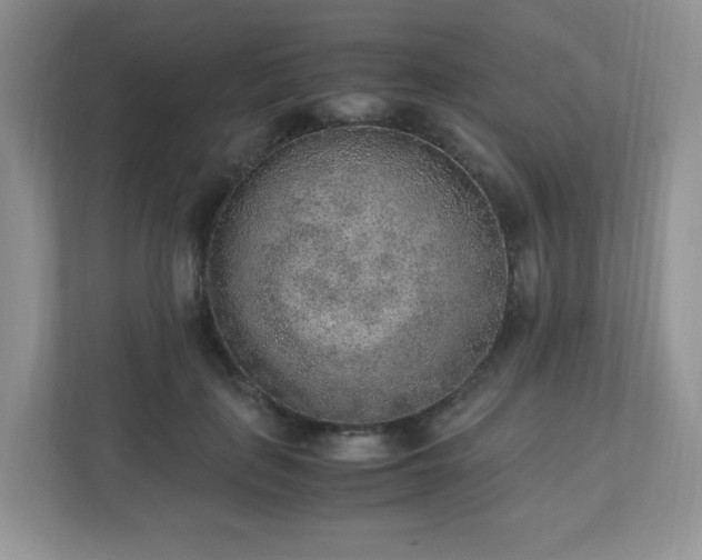 X0000110910651200906251358