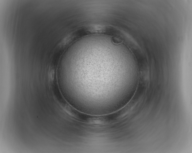 X0000110910652200906251358