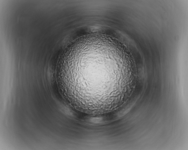 X0000110910653200906251358