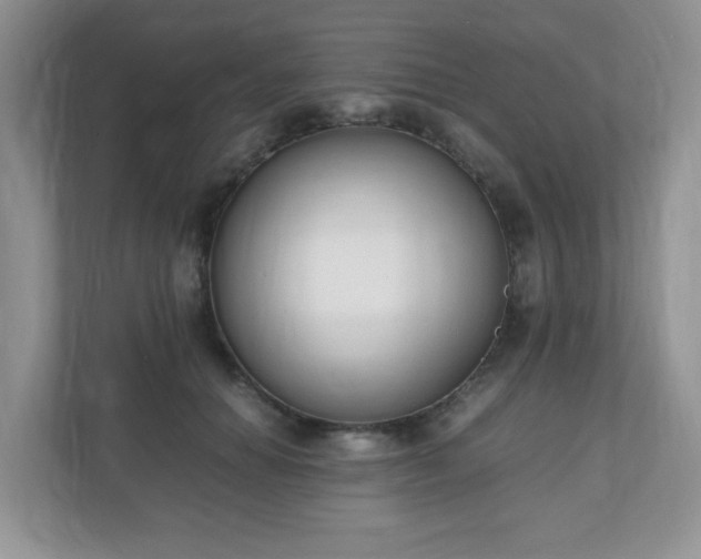 X0000110910654200906251358