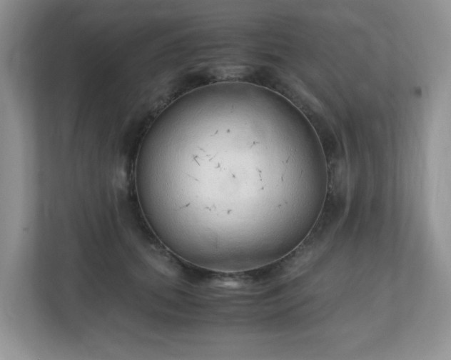 X0000110910655200906251358