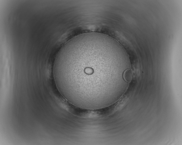 X0000110910656200906251358