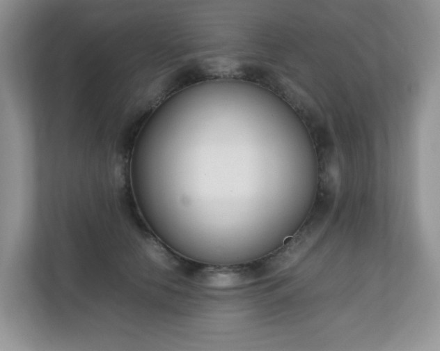 X0000110910658200906251358