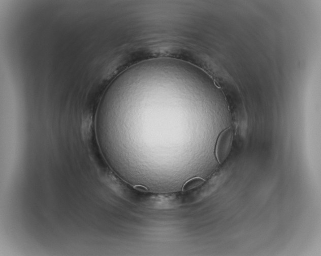 X0000110910660200906251358