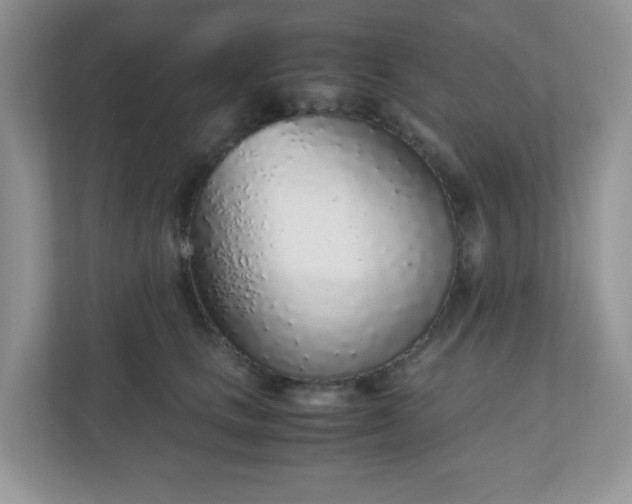 X0000110910661200906251358