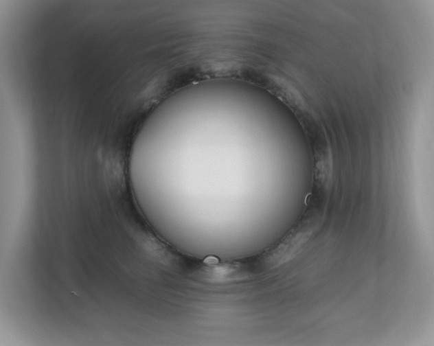 X0000110910662200906251358