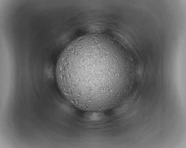 X0000110910663200906251358