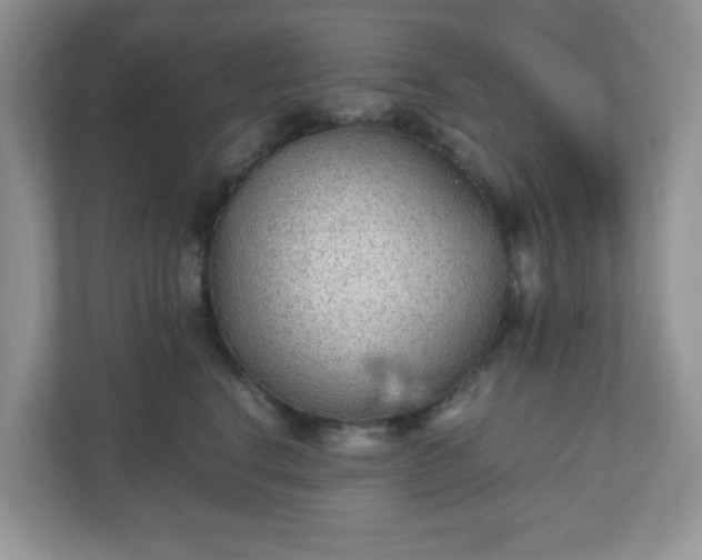 X0000110910664200906251358