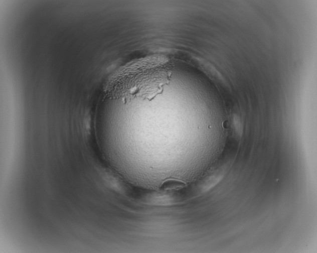 X0000110910668200906251359