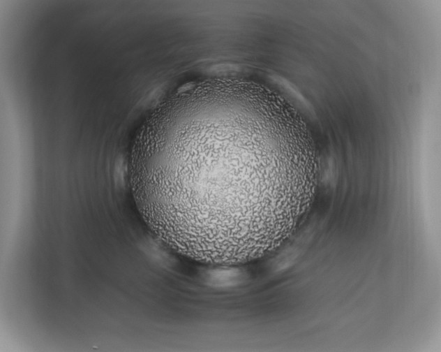 X0000110910669200906251359