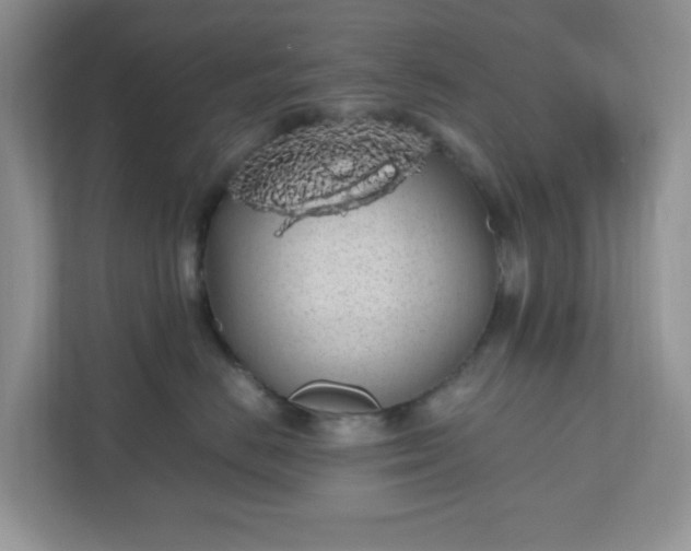 X0000110910670200906251359