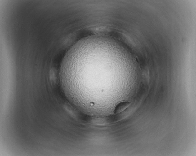 X0000110910671200906251359