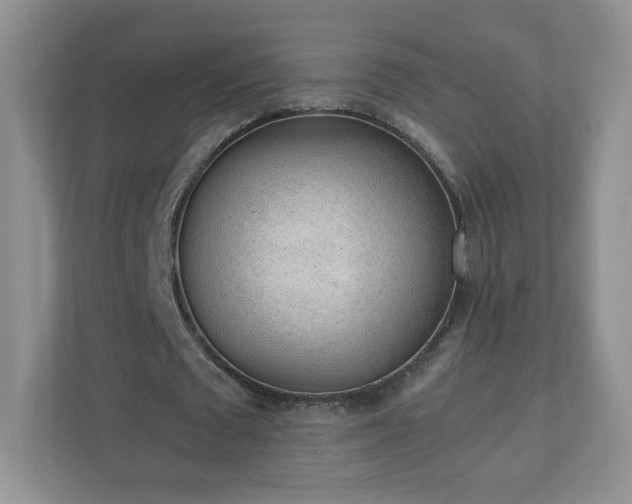 X0000110910673200906251358