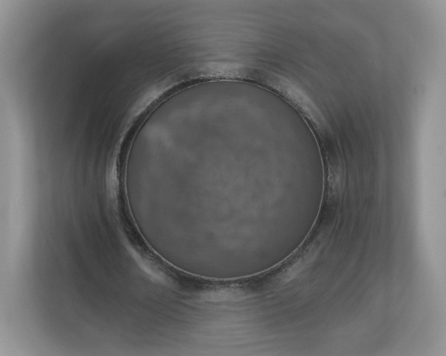 X0000110910674200906251358