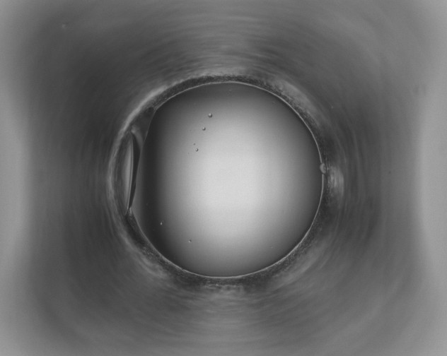 X0000110910676200906251358