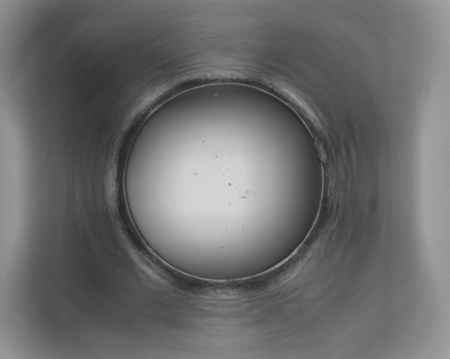 X0000110910677200906251358