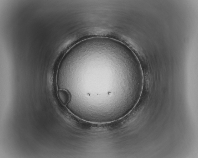 X0000110910679200906251358