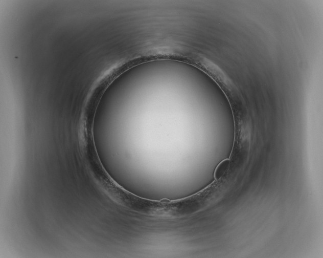 X0000110910680200906251358