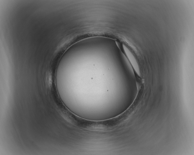 X0000110910685200906251358