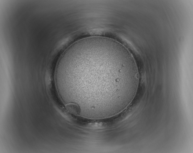 X0000110910687200906251358