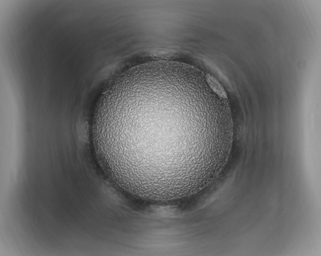 X0000110910689200906251358