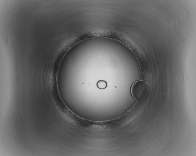 X0000110910690200906251358