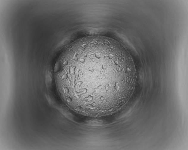 X0000110910691200906251358