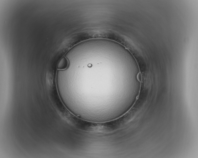 X0000110910695200906251358