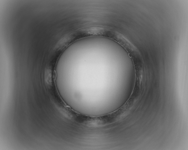 X0000110910696200906251358