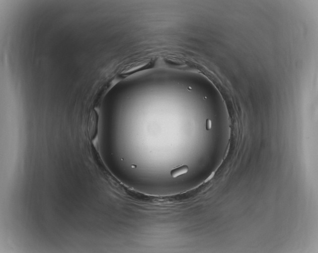 X0000110910701200906251358