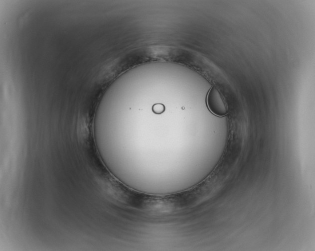 X0000110910702200906251358