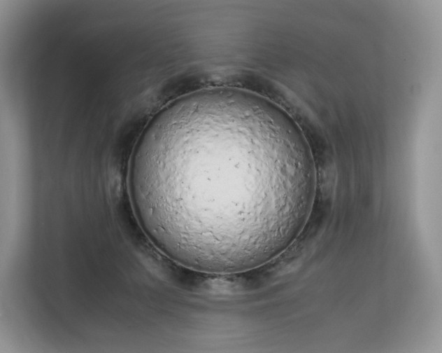 X0000110910703200906251358