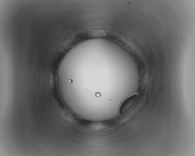 X0000110910704200906251358