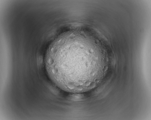 X0000110910711200906251357