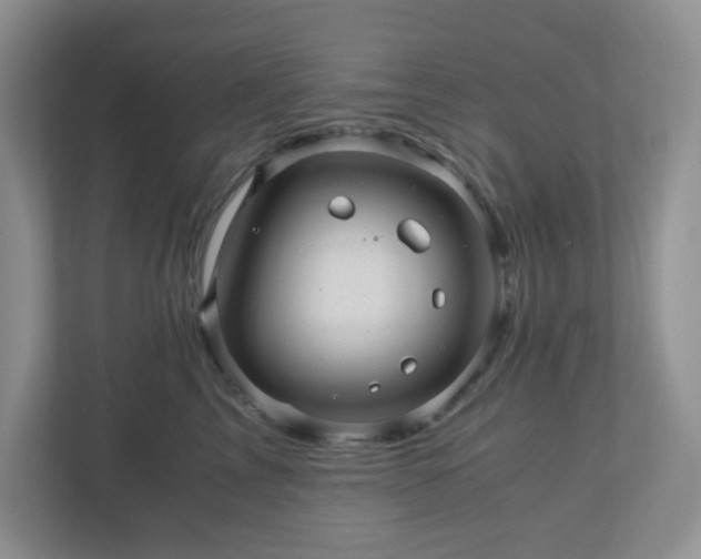 X0000110910713200906251357