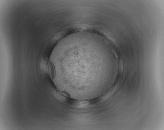 X0000110910719200906251357