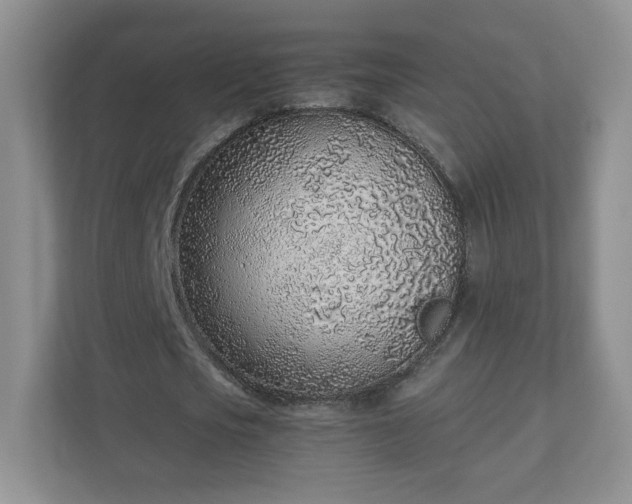 X0000110910721200906251357