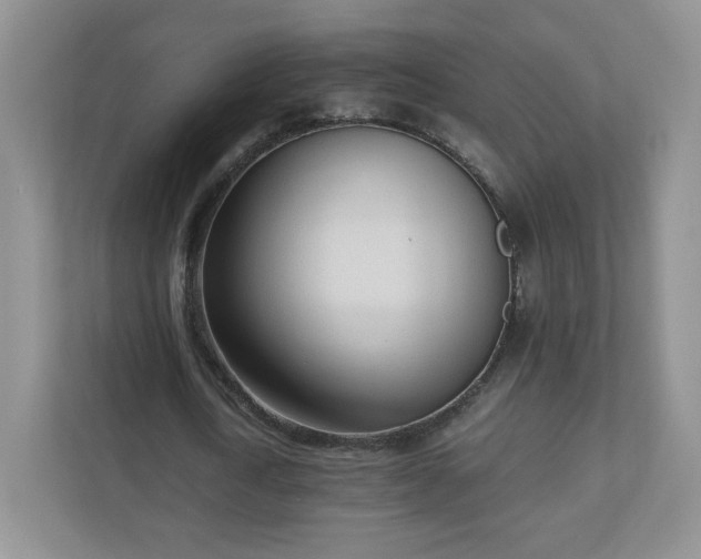 X0000110910722200906251357