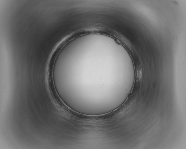 X0000110910724200906251357