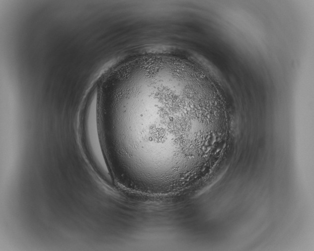 X0000110910725200906251357