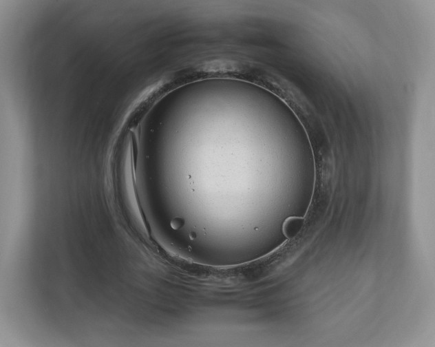 X0000110910727200906251357